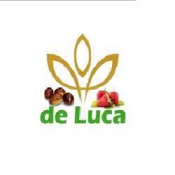 De Luca S.r.l., Conca della Campania orari di apertura