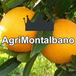 Agrimontalbano, Ribera orari di apertura
