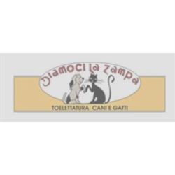 Toelettatura Diamoci La Zampa, Firenze orari di apertura