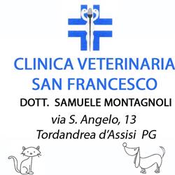 Clinica Veterinaria S. Francesco, Tordandrea orari di apertura