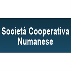 Società Cooperativa Numanese, Numana orari di apertura