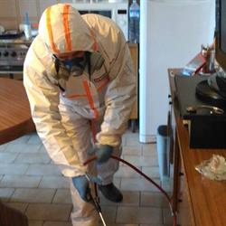Eco Control disinfestazioni Pisa, Ospedaletto - Orari di apertura
