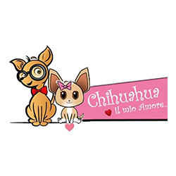 Cuccioli Chihuahua, Torino orari di apertura