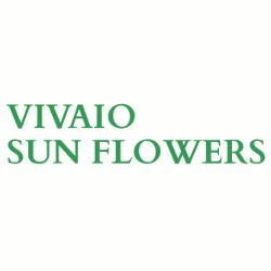 Vivaio Sun Flowers, Atina orari di apertura