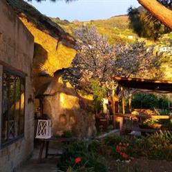 Terra e Sapori, Forio orari di apertura