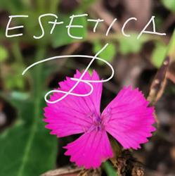 Estetica B, Lucca orari di apertura