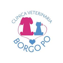 Clinica Veterinaria Borgo Po, Torino orari di apertura
