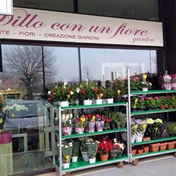 Dillo con Un Fiore Il Fiorista a Gallarate, orari di apertura