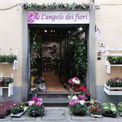 L'Angolo dei Fiori, Barberino di Mugello orari di apertura