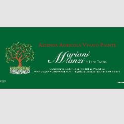 Azienda Agricola Vivaio Piante Mariani-Lanzi, Alatri orari di apertura