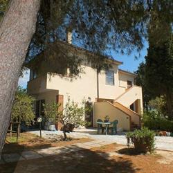 Campi di lavanda di Santa Luce - Ingresso gratuito -Podere Mandriato, orari di apertura