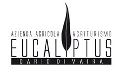 Eucaliptus, Castagneto Carducci orari di apertura