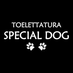 Toelettatura Special Dog di Cico Ventura, Pralboino orari di apertura