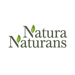 Natura Naturans, Orvieto orari di apertura