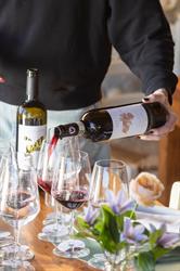 Querceto, Castellina in Chianti orari di apertura