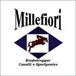 Millefiori, Mariano Comense orari di apertura