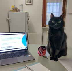Dott.ssa Michela Sghedoni Veterinario Formigine, Casinalbo - Orari di apertura