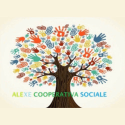 Cooperativa Sociale Alexe, Tortora orari di apertura