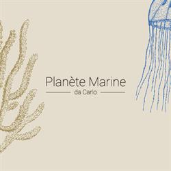 Frutti di Mare Planete Marine da Carlo, Catania orari di apertura