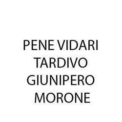 Pene Vidari Tardivo Giunipero Morone, Torino orari di apertura