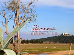Agriturismo Sei Carri, Montegrosso orari di apertura