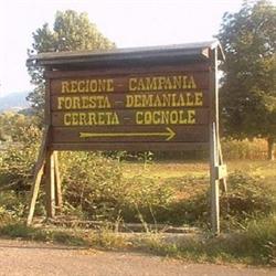 Foresta Didattica Foresta Cerreta Cognole, Montesano sulla Marcellana orari di apertura