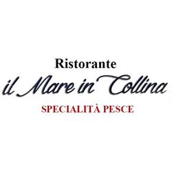 Il Mare in Collina, Santa Croce di Magliano orari di apertura