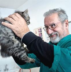 Ambulatorio Veterinario Bellocchio Enrico, Cividale del Friuli orari di apertura