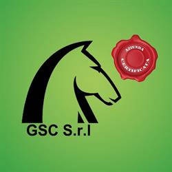 Gsc Servizi, Roma orari di apertura