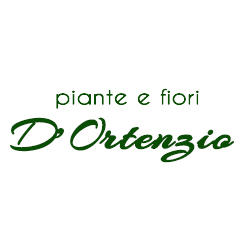 Angela Fiori, Torre de' Passeri orari di apertura