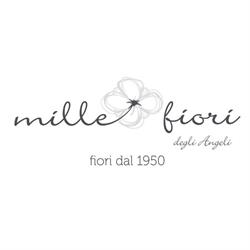 Millefiori Albano, Albano Laziale orari di apertura