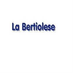 La Bertiolese di Piovesan Dario, Bertiolo orari di apertura