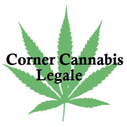 Corner cannabis legale, Rosignano Solvay orari di apertura