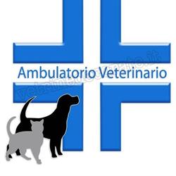 Ambulatorio Veterinario Dott.ssa Carla Villan, Fiesso d'Artico orari di apertura