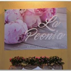 La Peonia Macchia, Giarre orari di apertura