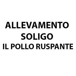 Allevamento Soligo Il Pollo Ruspante, Asolo orari di apertura