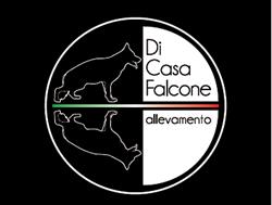 Allevamento Pastori Tedeschi Di Casa Falcone, Alvignano orari di apertura