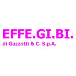 Effe.Gi.Bi. Spa, Argelato orari di apertura