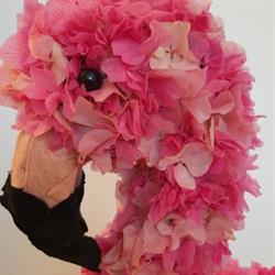 Pensieri in Fiore, Rieti orari di apertura