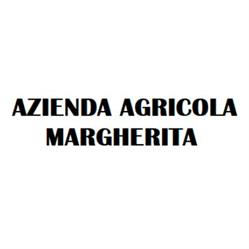 Azienda Agricola Margherita di Allerino Fratelli, Castagnito orari di apertura