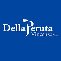 Della Peruta Vincenzo spa, Scafati orari di apertura