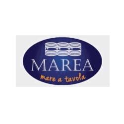 Marea - Mare a tavola, Camerota orari di apertura