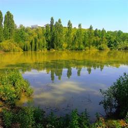 Oasi Naturalistica Le Fonti del Vascello, Tortoreto orari di apertura