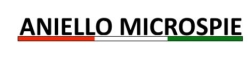 Aniello Microspie, Livorno orari di apertura