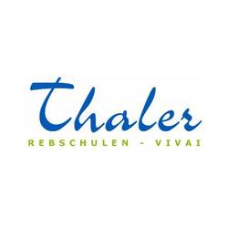 Vivai Thaler Thaler, Termeno sulla strada del vino orari di apertura