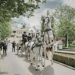 I CAVALIERI DELLA PERGAMENA BIANCA GRUPPO EQUESTRE, Cava de' Tirreni orari di apertura