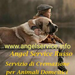 Angel Service Russo Cremazioni Animali, Giugliano in Campania orari di apertura