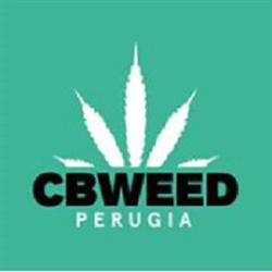 Cisl Federazione Territoriale Pensionati Perugia Corciano, Chiugiana - Orari di apertura
