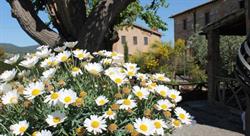 B&B Casa di campagna in toscana Sovicille, Loc. Ampugnano - Orari di apertura