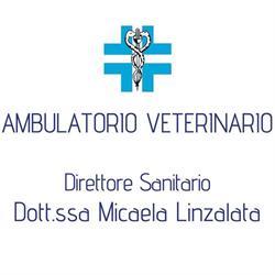 Ambulatorio Veterinario Dott.ssa Linzalata Micaela, Spinazzola orari di apertura